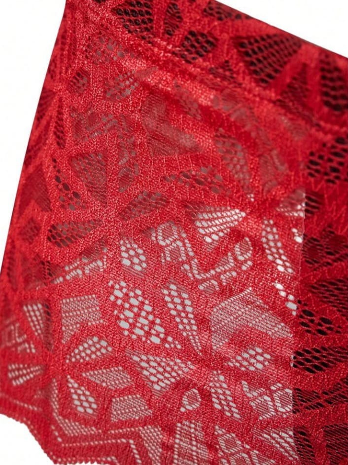 Ruby Lace Harness Brief